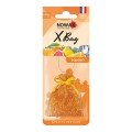 Ароматизатор Nowax X Bag Squash сухий, ціна: 74 грн.