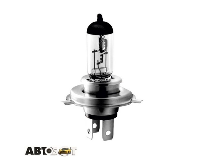 Галогенна лампа BREVIA Master Rally H4 24V 100/90W CP 24040MRC (1 шт.), ціна: 212 грн.