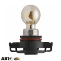 Лампа розжарювання Philips SilverVision PSY24W 12V 12180SVC1 (1 шт.), ціна: 960 грн.