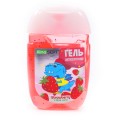Антисептичний гель Alma Sept для рук Jungle Strawberry 40мл, ціна: 42 грн.