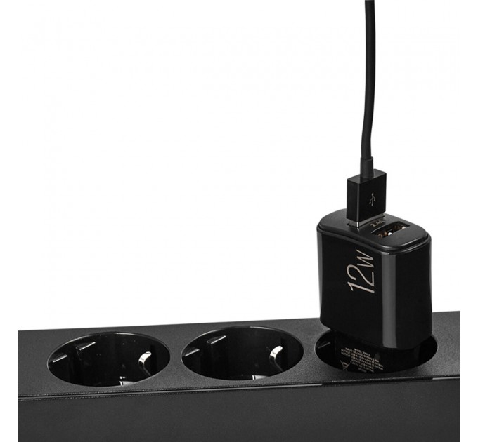Сетевое зарядное устройство Winso Pro 12W 2xUSB-A черный, цена: 220 грн.