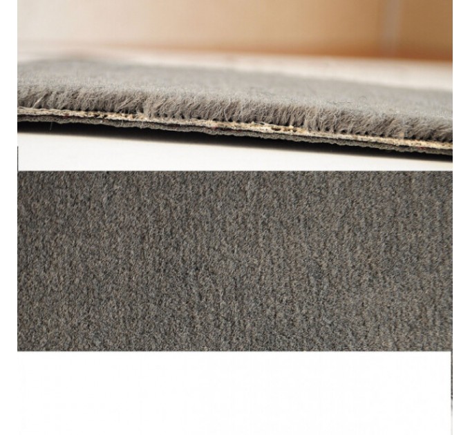 Nissan NISSAN LEAF 2010 Комплект килимків (Stingray), цена: 866 грн.