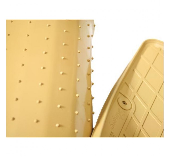 Lexus LEXUS GS (2WD) 2005- Комплект из 4-х ковриков Бежевый в салон (Stingray), цена: 2 200 грн.