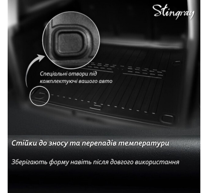 Nissan Interstar III (2024-...) комплект 3D килимків з 2 штук (Stingray), ціна: 1 650 грн.