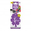 Освежитель воздуха Winso Lucky Leaf, целлюлозный ароматизатор, Wildberry, цена: 32 грн.