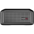 Коврик WeatherTech Black для Chevrolet Corvette (mkVIII)(front)(trunk) 2020→, цена: 7 167 грн.