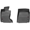 Коврики Weathertech Black для Lexus GS (mkIV)(AWD)(1 row) 2012→, ціна: 6 144 грн.