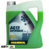 Антифриз MANNOL Antifreeze AG13 зелений -40C 5л, ціна: 750 грн.