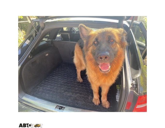 Автомобільний килимок в багажник Audi A4 (B8) 2007- Universal (Avto-Gumm), ціна: 1 182 грн.