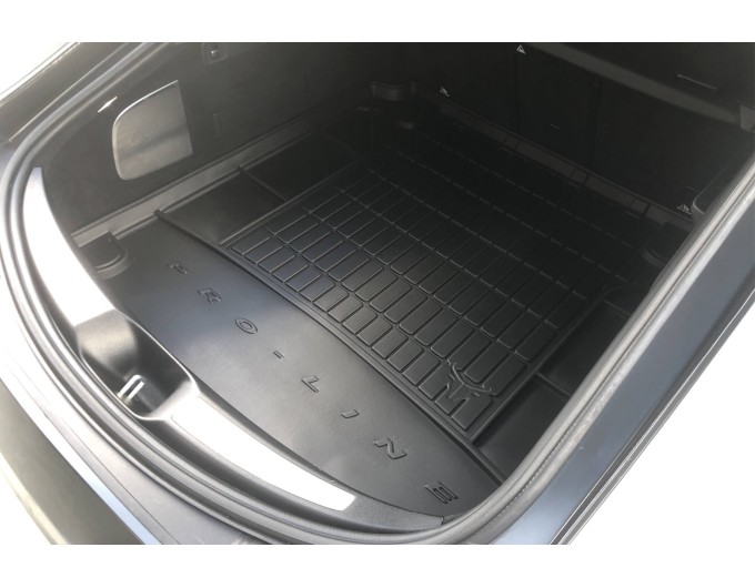Коврик в багажник FROGUM DRY ZONE Mercedes AMG GT 2019-... / FG DZ406506, цена: 1 701 грн.