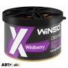 Ароматизатор Winso Organic X Active Wildberry 533740 40г, ціна: 363 грн.