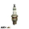 Свеча зажигания Bosch 0 241 248 531, цена: 117 грн.