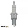 Свеча зажигания Champion CCH3221, цена: 124 грн.