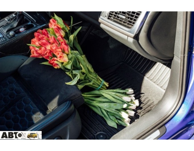 Гумові килимки в салон FROGUM №77 Opel Insignia 2008-2017 FG 77408524, ціна: 2 585 грн.